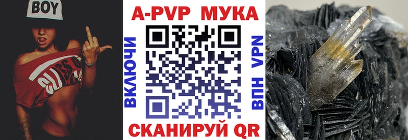 A PVP СК КРИС Ильский