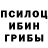 Псилоцибиновые грибы MAGIC MUSHROOMS Darea meels